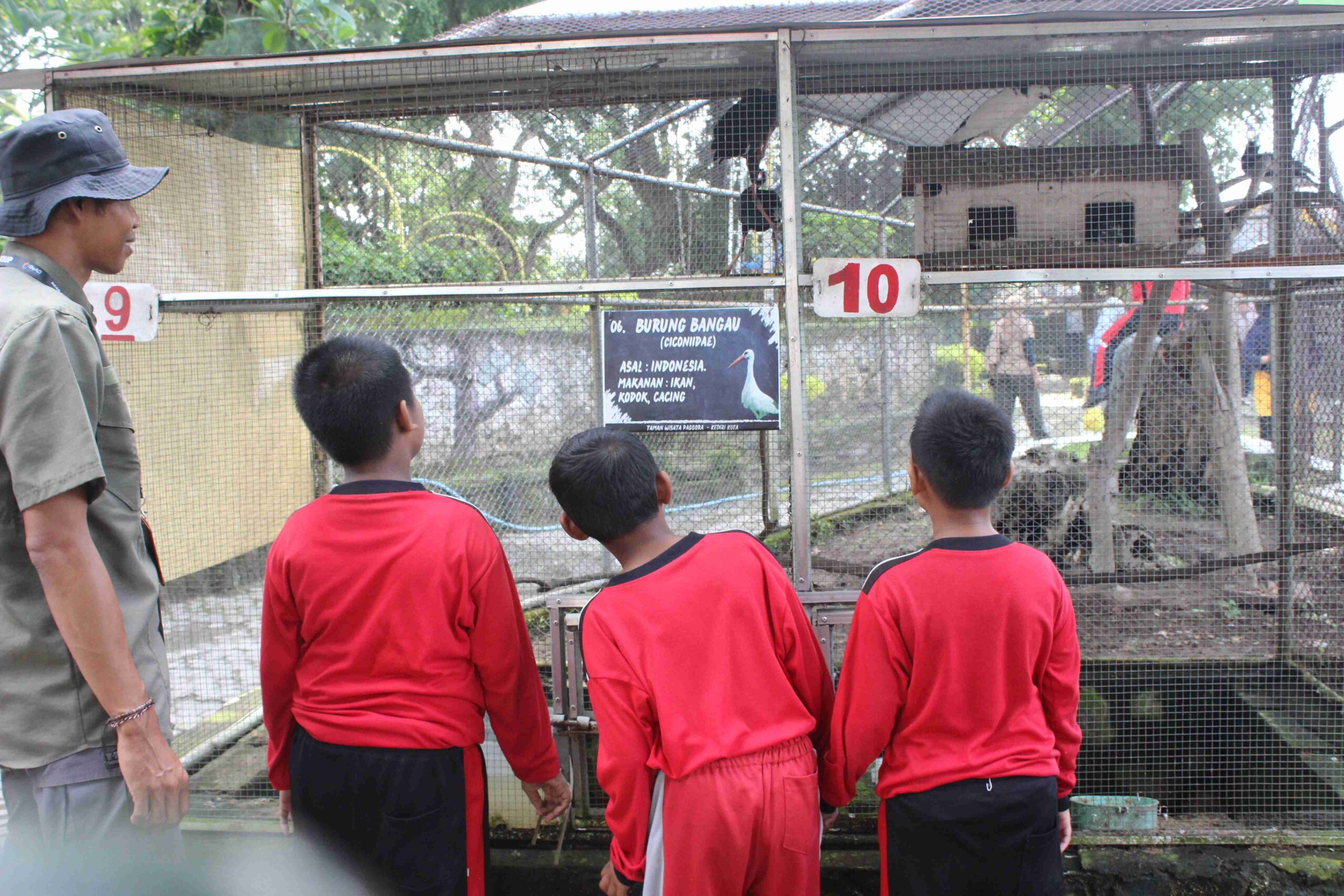 mini zoo outbound paggora